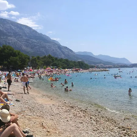 Ivo * Makarska